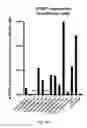 Fig. 09 - Ex vivo proliferation of epithelial cells