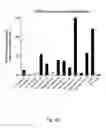 Fig. 10 - Ex vivo proliferation of epithelial cells
