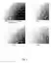 Fig. 16 - Ex vivo proliferation of epithelial cells