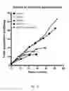 Fig. 19 - Ex vivo proliferation of epithelial cells