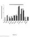 Fig. 20 - Ex vivo proliferation of epithelial cells