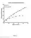 Fig. 23 - Ex vivo proliferation of epithelial cells