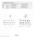 Fig. 25 - Ex vivo proliferation of epithelial cells