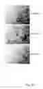 Fig. 28 - Ex vivo proliferation of epithelial cells