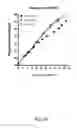 Fig. 46 - Ex vivo proliferation of epithelial cells