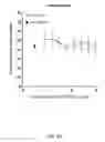 Fig. 49 - Ex vivo proliferation of epithelial cells