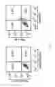 Fig. 14 - Generating hepatocytes