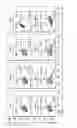 Fig. 20 - Generating hepatocytes