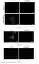 Fig. 25 - Generating hepatocytes