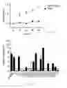 Fig. 29 - Generating hepatocytes