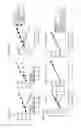 Fig. 12 - Modified natural killer cells that express IL15 and uses thereof