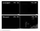 Fig. 20 - Methods of differentiating preadipocytes and uses thereof