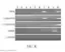Fig. 11 - Reprogramming methods and cell culture platforms
