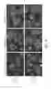 Fig. 22 - Reprogramming methods and cell culture platforms