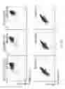 Fig. 23 - Reprogramming methods and cell culture platforms