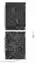 Fig. 34 - Reprogramming methods and cell culture platforms