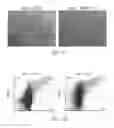 Fig. 45 - Reprogramming methods and cell culture platforms