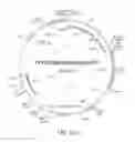 Fig. 57 - Reprogramming methods and cell culture platforms