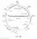 Fig. 58 - Reprogramming methods and cell culture platforms