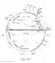 Fig. 60 - Reprogramming methods and cell culture platforms