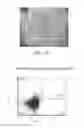 Fig. 66 - Reprogramming methods and cell culture platforms