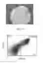Fig. 68 - Reprogramming methods and cell culture platforms