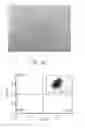 Fig. 72 - Reprogramming methods and cell culture platforms
