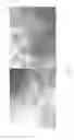 Fig. 81 - Reprogramming methods and cell culture platforms
