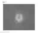 Fig. 08 - Methods and products for transfection