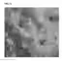 Fig. 13 - Methods and products for transfection
