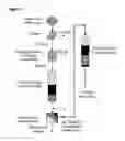 Fig. 02 - PROCESS FOR THE PREPARATION OF GROUP B ADENOVIRUSES