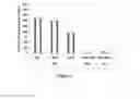 Fig. 04 - MRNA therapy for phenylketonuria