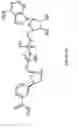Fig. 03 - COMPOSITIONS OF ENZYMES STABILIZED WITH STABLE COENZYMES