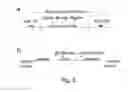Fig. 09 - Preparation of libraries of protein variants expressed in eukaryotic cells and use for selecting binding molecules