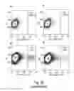 Fig. 44 - Preparation of libraries of protein variants expressed in eukaryotic cells and use for selecting binding molecules