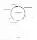 Fig. 03 - Genetically modified microorganism for improved production of fine chemicals on sucrose