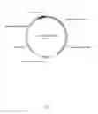 Fig. 04 - Genetically modified microorganism for improved production of fine chemicals on sucrose