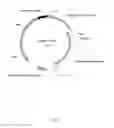 Fig. 06 - Genetically modified microorganism for improved production of fine chemicals on sucrose