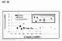 Fig. 23 - PROCESSING OF POLYNUCLEOTIDES