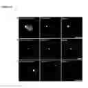Fig. 05 - FLUORESCENT TWO-HYBRID (F2H) ASSAY FOR DIRECT VISUALIZATION OF PROTEIN INTERACTIONS IN LIVING CELLS