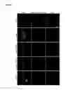Fig. 09 - FLUORESCENT TWO-HYBRID (F2H) ASSAY FOR DIRECT VISUALIZATION OF PROTEIN INTERACTIONS IN LIVING CELLS