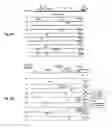 Fig. 09 - LENTIVIRAL-BASED VECTOR AND ITS USE IN DIRECTED EVOLUTION OF GENOMIC REGIONS, GENES AND POLYNUCLEOTIDES