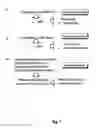 Fig. 10 - LENTIVIRAL-BASED VECTOR AND ITS USE IN DIRECTED EVOLUTION OF GENOMIC REGIONS, GENES AND POLYNUCLEOTIDES