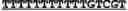 Fig. 02 - Binding-induced DNA nanomachines