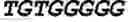 Fig. 02 - Nucleic acid fragment binding to target protein