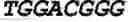Fig. 03 - Nucleic acid fragment binding to target protein