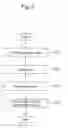 Fig. 06 - Nucleic acid fragment binding to target protein