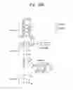 Fig. 19 - Nucleic acid fragment binding to target protein