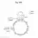 Fig. 25 - Nucleic acid fragment binding to target protein