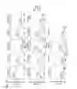 Fig. 28 - Nucleic acid fragment binding to target protein